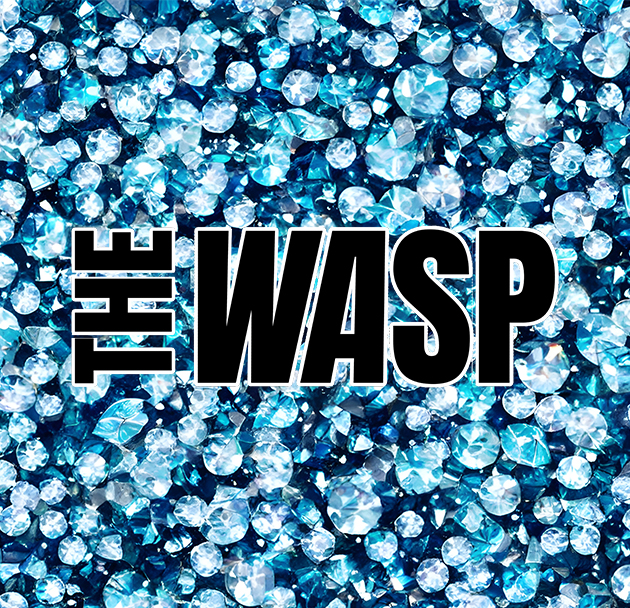 wasp_kontakt